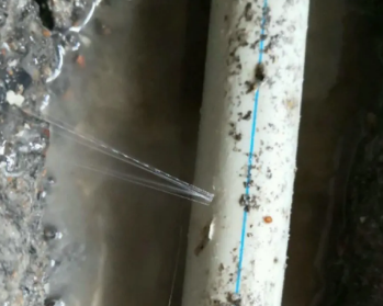 抚远卫生间测漏水多少钱